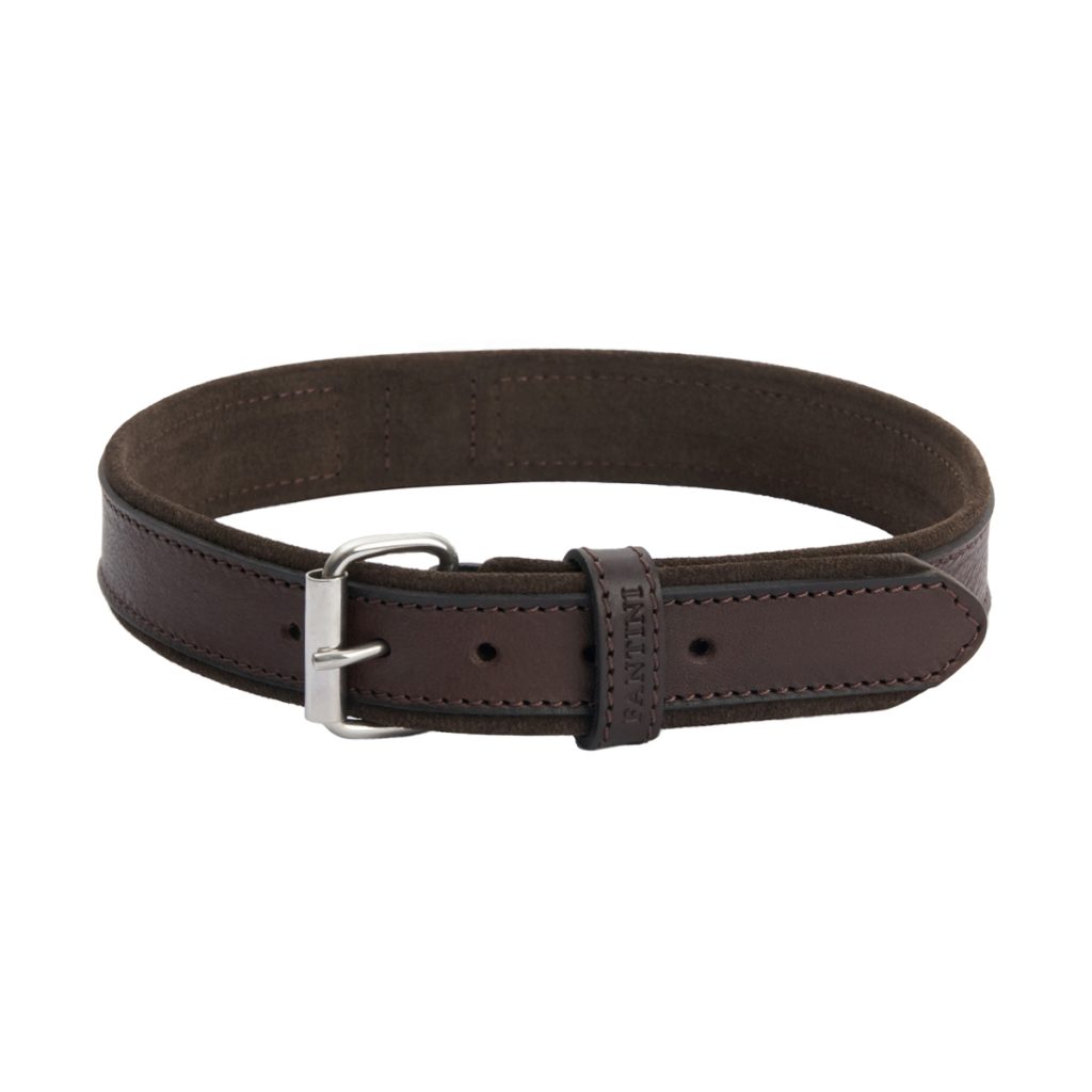 hondenhalsband